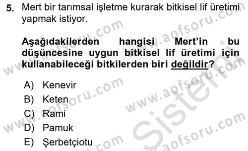 Bitki Su İlişkileri Dersi 2021 - 2022 Yılı (Final) Dönem Sonu Sınav Soruları 5. Soru
