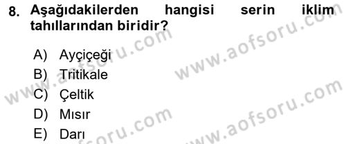 Bitki Su İlişkileri Dersi 2021 - 2022 Yılı (Final) Dönem Sonu Sınav Soruları 8. Soru