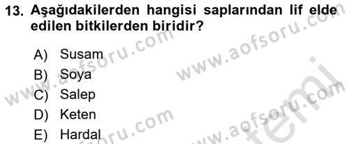 Bitki Su İlişkileri Dersi 2021 - 2022 Yılı Yaz Okulu Sınav Soruları 13. Soru