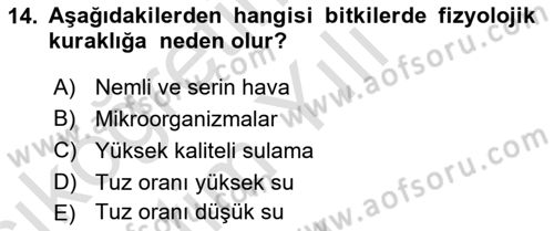 Bitki Su İlişkileri Dersi 2021 - 2022 Yılı Yaz Okulu Sınav Soruları 14. Soru
