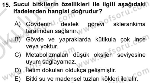 Bitki Su İlişkileri Dersi 2021 - 2022 Yılı Yaz Okulu Sınav Soruları 15. Soru