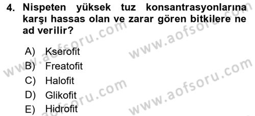 Bitki Su İlişkileri Dersi 2021 - 2022 Yılı Yaz Okulu Sınav Soruları 4. Soru