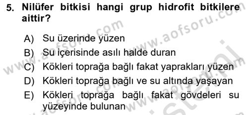 Bitki Su İlişkileri Dersi 2021 - 2022 Yılı Yaz Okulu Sınav Soruları 5. Soru