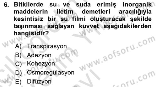 Bitki Su İlişkileri Dersi 2021 - 2022 Yılı Yaz Okulu Sınav Soruları 6. Soru