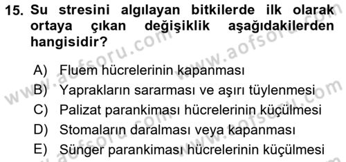 Bitki Su İlişkileri Dersi 2022 - 2023 Yılı (Vize) Ara Sınav Soruları 15. Soru