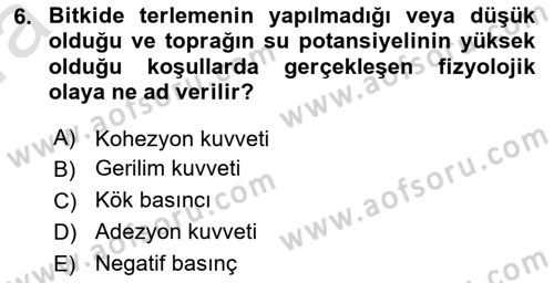 Bitki Su İlişkileri Dersi Ara Sınavı Deneme Sınav Soruları 6. Soru