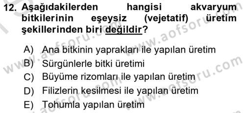 Bitki Su İlişkileri Dersi 2022 - 2023 Yılı (Final) Dönem Sonu Sınav Soruları 12. Soru