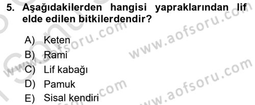 Bitki Su İlişkileri Dersi 2022 - 2023 Yılı (Final) Dönem Sonu Sınav Soruları 5. Soru