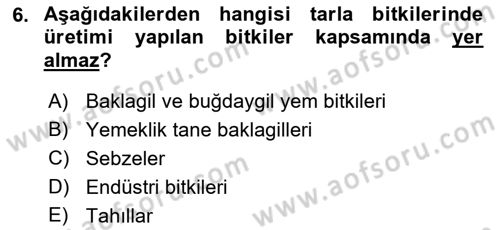 Bitki Su İlişkileri Dersi 2022 - 2023 Yılı (Final) Dönem Sonu Sınav Soruları 6. Soru