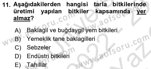Bitki Su İlişkileri Dersi 2022 - 2023 Yılı Yaz Okulu Sınav Soruları 11. Soru