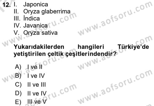 Bitki Su İlişkileri Dersi 2022 - 2023 Yılı Yaz Okulu Sınav Soruları 12. Soru