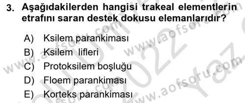 Bitki Su İlişkileri Dersi 2022 - 2023 Yılı Yaz Okulu Sınav Soruları 3. Soru