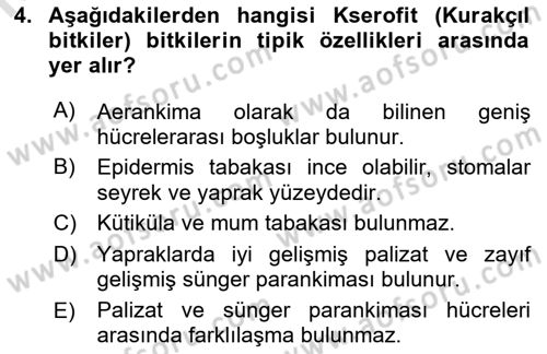 Bitki Su İlişkileri Dersi 2022 - 2023 Yılı Yaz Okulu Sınav Soruları 4. Soru