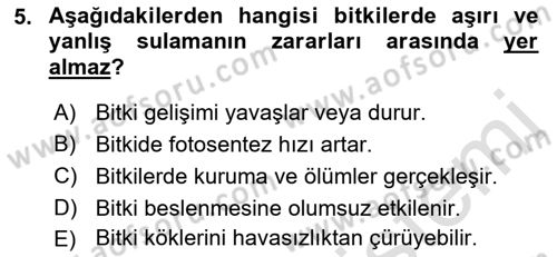 Bitki Su İlişkileri Dersi 2022 - 2023 Yılı Yaz Okulu Sınav Soruları 5. Soru