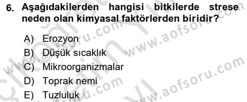 Bitki Su İlişkileri Dersi 2022 - 2023 Yılı Yaz Okulu Sınav Soruları 6. Soru