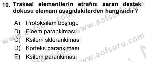 Bitki Su İlişkileri Dersi 2024 - 2025 Yılı (Vize) Ara Sınav Soruları 10. Soru