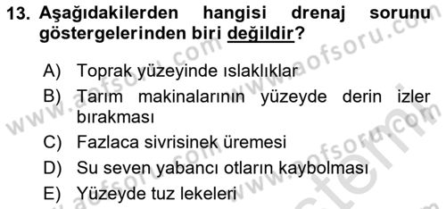 Bitki Su İlişkileri Dersi 2024 - 2025 Yılı (Vize) Ara Sınav Soruları 13. Soru