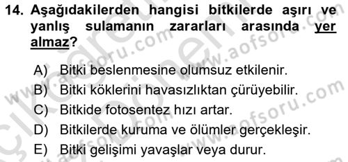 Bitki Su İlişkileri Dersi 2024 - 2025 Yılı (Vize) Ara Sınav Soruları 14. Soru