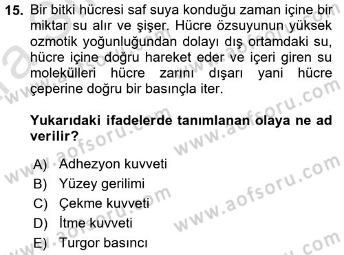Bitki Su İlişkileri Dersi Ara Sınavı Deneme Sınav Soruları 15. Soru