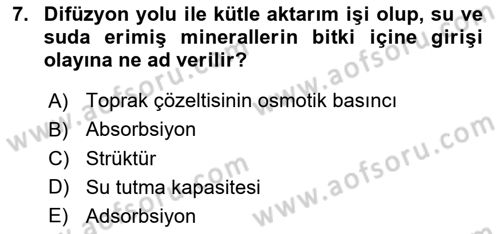 Bitki Su İlişkileri Dersi Ara Sınavı Deneme Sınav Soruları 7. Soru
