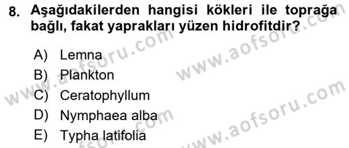 Bitki Su İlişkileri Dersi Ara Sınavı Deneme Sınav Soruları 8. Soru