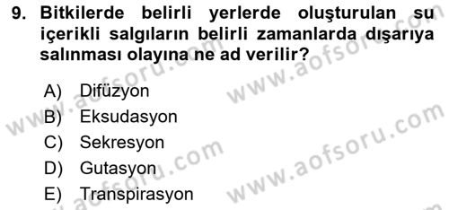 Bitki Su İlişkileri Dersi 2024 - 2025 Yılı (Vize) Ara Sınav Soruları 9. Soru