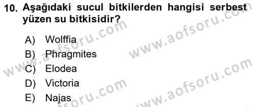 Bitki Su İlişkileri Dersi 2024 - 2025 Yılı (Final) Dönem Sonu Sınav Soruları 10. Soru