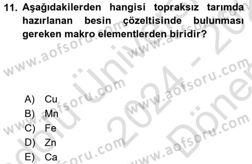 Bitki Su İlişkileri Dersi 2024 - 2025 Yılı (Final) Dönem Sonu Sınav Soruları 11. Soru
