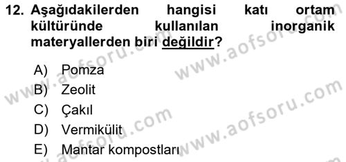 Bitki Su İlişkileri Dersi 2024 - 2025 Yılı (Final) Dönem Sonu Sınav Soruları 12. Soru