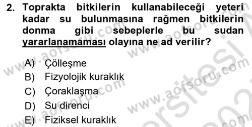 Bitki Su İlişkileri Dersi 2024 - 2025 Yılı (Final) Dönem Sonu Sınav Soruları 2. Soru