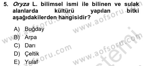 Bitki Su İlişkileri Dersi 2024 - 2025 Yılı (Final) Dönem Sonu Sınav Soruları 5. Soru