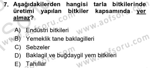 Bitki Su İlişkileri Dersi 2024 - 2025 Yılı (Final) Dönem Sonu Sınav Soruları 7. Soru