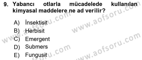 Bitki Su İlişkileri Dersi 2024 - 2025 Yılı (Final) Dönem Sonu Sınav Soruları 9. Soru