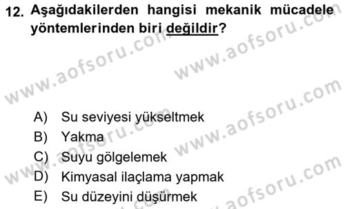 Bitki Su İlişkileri Dersi 2024 - 2025 Yılı Yaz Okulu Sınav Soruları 12. Soru