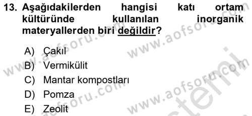 Bitki Su İlişkileri Dersi 2024 - 2025 Yılı Yaz Okulu Sınav Soruları 13. Soru