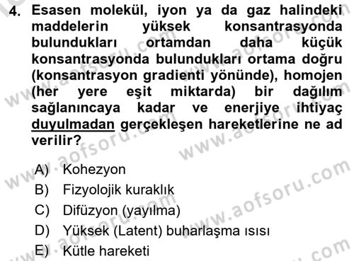 Bitki Su İlişkileri Dersi 2024 - 2025 Yılı Yaz Okulu Sınav Soruları 4. Soru