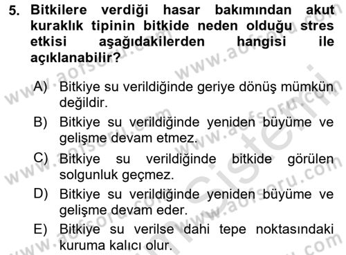 Bitki Su İlişkileri Dersi 2024 - 2025 Yılı Yaz Okulu Sınav Soruları 5. Soru