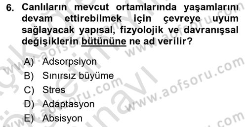 Bitki Su İlişkileri Dersi 2024 - 2025 Yılı Yaz Okulu Sınav Soruları 6. Soru