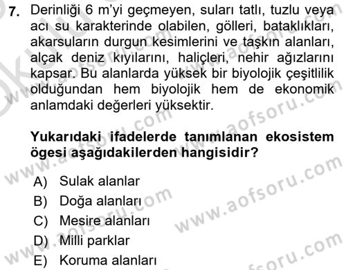 Bitki Su İlişkileri Dersi 2024 - 2025 Yılı Yaz Okulu Sınav Soruları 7. Soru