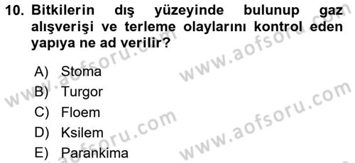 Bitki Su İlişkileri Dersi 2025 - 2026 Yılı (Vize) Ara Sınav Soruları 10. Soru