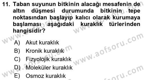 Bitki Su İlişkileri Dersi 2025 - 2026 Yılı (Vize) Ara Sınav Soruları 11. Soru