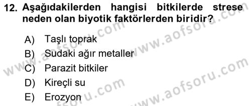 Bitki Su İlişkileri Dersi 2025 - 2026 Yılı (Vize) Ara Sınav Soruları 12. Soru