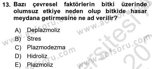 Bitki Su İlişkileri Dersi 2025 - 2026 Yılı (Vize) Ara Sınav Soruları 13. Soru