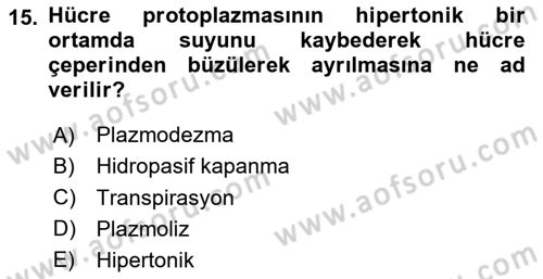 Bitki Su İlişkileri Dersi 2025 - 2026 Yılı (Vize) Ara Sınav Soruları 15. Soru