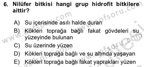Bitki Su İlişkileri Dersi 2025 - 2026 Yılı (Vize) Ara Sınav Soruları 6. Soru