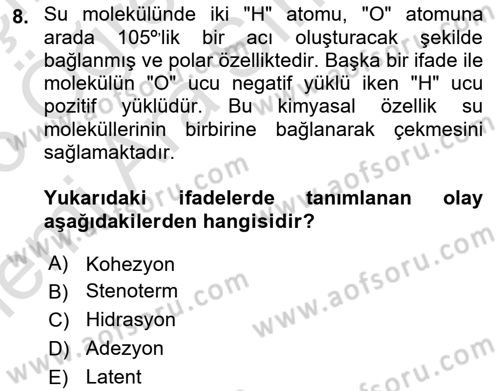 Bitki Su İlişkileri Dersi 2025 - 2026 Yılı (Vize) Ara Sınav Soruları 8. Soru