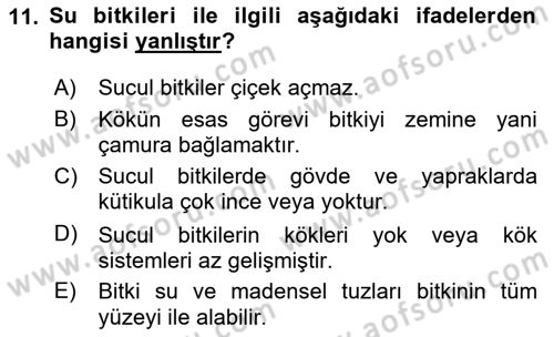 Bitki Su İlişkileri Dersi 2025 - 2026 Yılı (Final) Dönem Sonu Sınav Soruları 11. Soru
