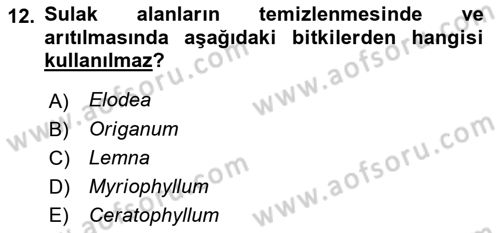 Bitki Su İlişkileri Dersi 2025 - 2026 Yılı (Final) Dönem Sonu Sınav Soruları 12. Soru