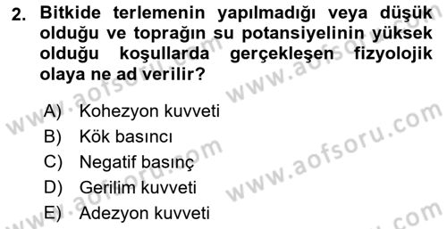 Bitki Su İlişkileri Dersi 2025 - 2026 Yılı (Final) Dönem Sonu Sınav Soruları 2. Soru