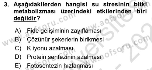 Bitki Su İlişkileri Dersi 2025 - 2026 Yılı (Final) Dönem Sonu Sınav Soruları 3. Soru
